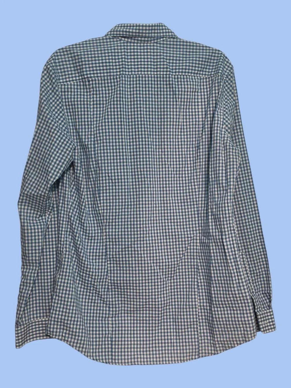 H&M Blue and White Gingham Button-Down Shirt